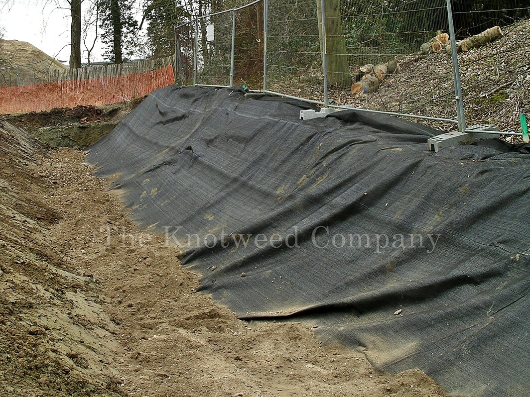 knotweed resistant root barrier